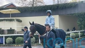 Doddiethegreat proves popular winner at Ascot
