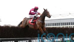 Favori De Champdou floors Porter and company