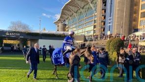 Blueking D’Oroux takes Coral Hurdle prize
