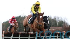 State Man untroubled in Morgiana Hurdle