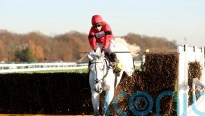 Grey Dawning looks smart in getting off the mark over fences
