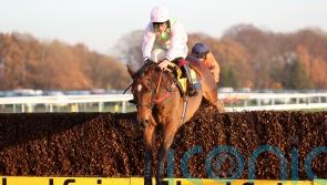 Royale Pagaille upsets Bravemansgame in Betfair Chase