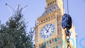 Huge 40ft Parliament Christmas tree put up to mark festive season
