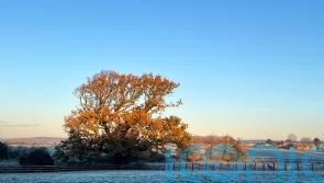 ‘Very chilly’ on Sunday after overnight temperatures fall below zero