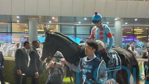 Superstar Equinox sparkles with Japan Cup glory