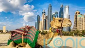 Why Dubai tops the list for a winter sun break