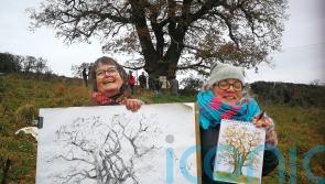 Artist evokes Sycamore Gap emotion after 50 creatives join Darwin Oak protest