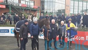 Joyeux Machin lined up for Leopardstown test