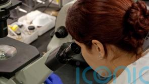 UK&rsquo;s first human case of swine flu strain H1N2 detected