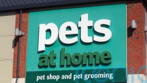 Move to new warehouse hits Pets At Home revenue and profit