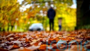 Brisker walking pace could lower type 2 diabetes risk, study suggests