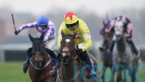 Nicholls ‘thrilled’ with Hermes Allen chasing debut