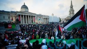 Met has ‘locally led’ London policing plan for expected pro-Palestine protests