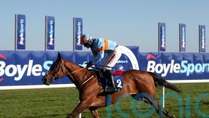 Cromwell chasing new milestone in Drinmore