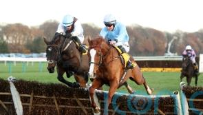 Slate Lane reported to have avoided infection in tendon injury