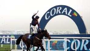 Datsalrightgino cuts through field to lift Coral Gold Cup