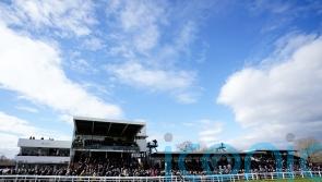 Plumpton abandoned due to waterlogging