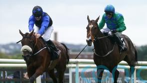 Fahey eyeing Festival handicaps with The Big Doyen