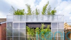 ‘True London oasis’ wins House of the Year 2023