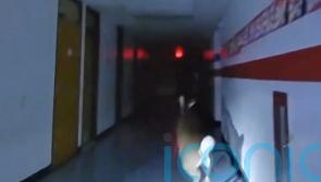 Deer&rsquo;s escape after breaking into US school captured on police bodycams