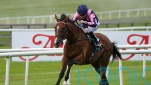 Teona and Via Sistina star in December Mares Sale