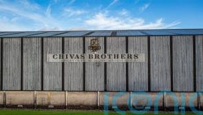 Whisky workers suspend strikes to consider pay offer