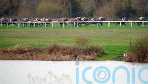 Weather concerns for Peterborough Chase meeting