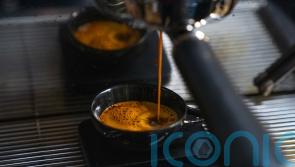 Scientists discover the secret to making an intense espresso