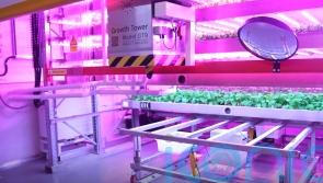 Vertical farm unveiled to grow crops and reduce water use in extreme climates