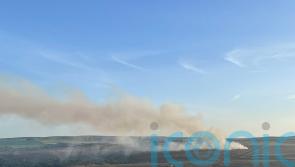 Council calls on Government to ban moorland burning