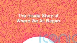 Winners of National Book Awards announced