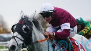 Coko Beach in fine spirits for Becher Chase bid