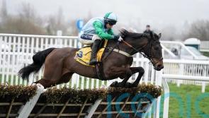 Top mares ready to take on Fighting Fifth test