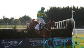 Janidil on the hunt for easier pickings