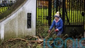 Storm Elin and Storm Fergus to bring gale force winds to Ireland