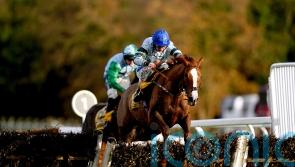Not So Sleepy powers away to win Fighting Fifth