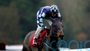 Bob boosts future prospects with Sandown success