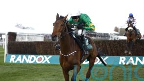 Fakir D’oudairies heading to Cheltenham on Saturday