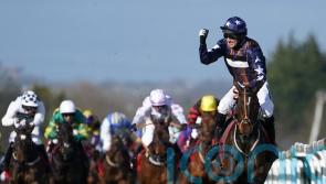 Dysart Enos to get taste for Cheltenham on Friday