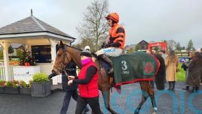 Jetara upholds family honour with Punchestown win