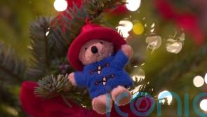 Paddington musical in the works with songs by McFly’s Tom Fletcher