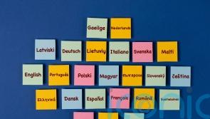 Scottish university will no longer offer single degrees in modern languages