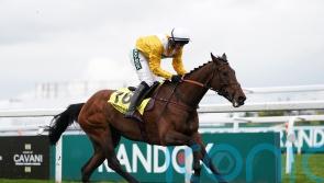 Apple Away up and running over fences with Leicester success