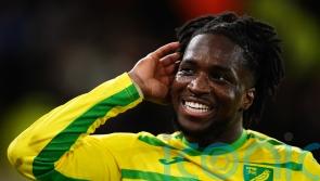 Norwich warm up for derby with comfortable win against Sheffield Wednesday