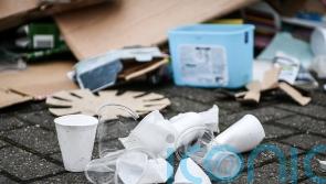 Four out of five people worried about environment, tracker finds