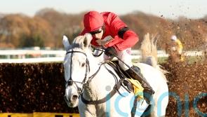 Skelton ‘really happy’ with smart prospect Grey Dawning