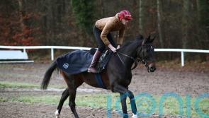 ‘Unbelievable’ Ile Est Francais in great shape for Boxing Day