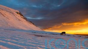 Reindeer use night vision to detect vital food sources during winter, study says