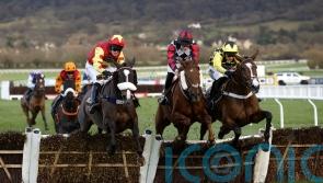 Shanagh Bob shows plenty of spirit to stay unbeaten