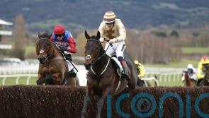 Broadway Boy puts on another show at Cheltenham